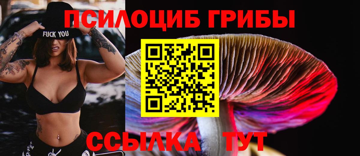 даркнет сайт  Псилоцибиновые грибы MAGIC MUSHROOMS  Вход с VPN  Тобольск 