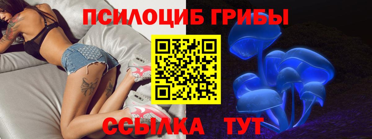 Галлюциногенные грибы Psilocybine cubensis  Галлюциногенные грибы Cubensis  Тобольск 